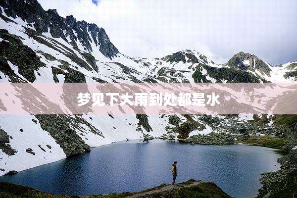 梦见下大雨到处都是水