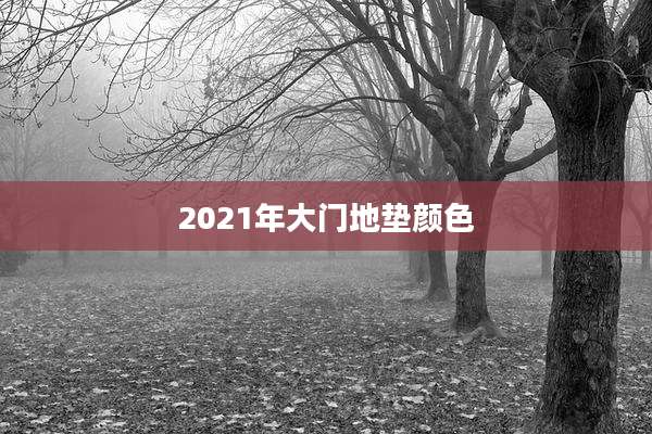 2021年大门地垫颜色