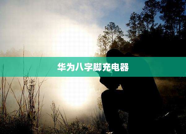 华为八字脚充电器