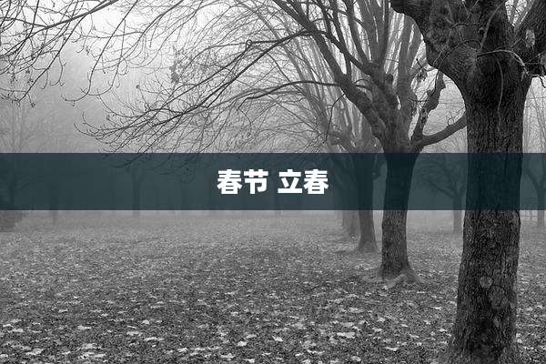 春节 立春
