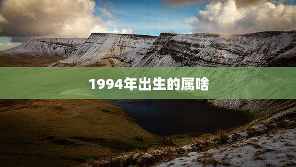 1994年出生的属啥