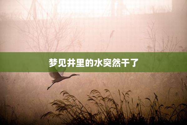 梦见井里的水突然干了