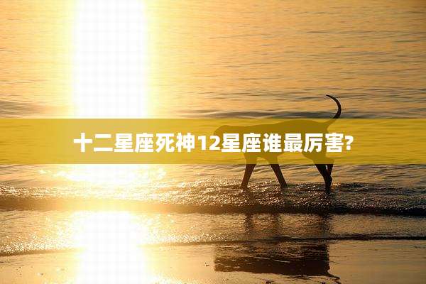 十二星座死神12星座谁最厉害?