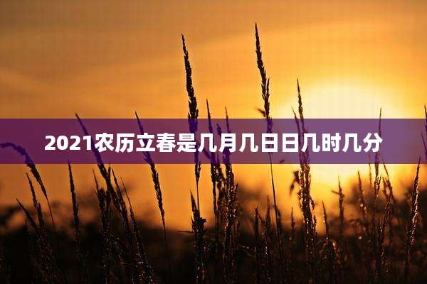 2021农历立春是几月几日日几时几分