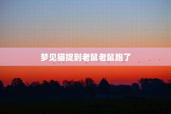 梦见猫捉到老鼠老鼠跑了