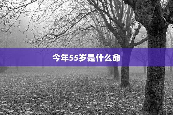 今年55岁是什么命