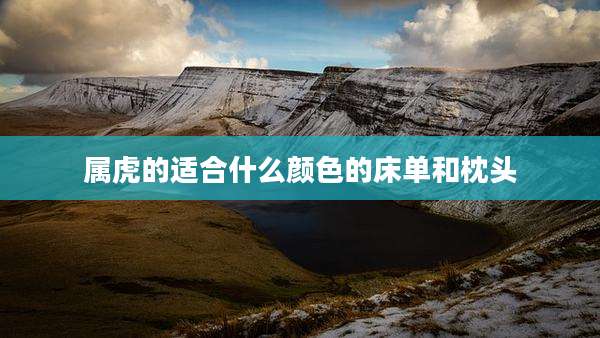属虎的适合什么颜色的床单和枕头