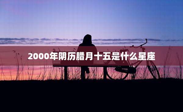 2000年阴历腊月十五是什么星座