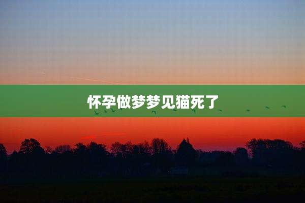 怀孕做梦梦见猫死了