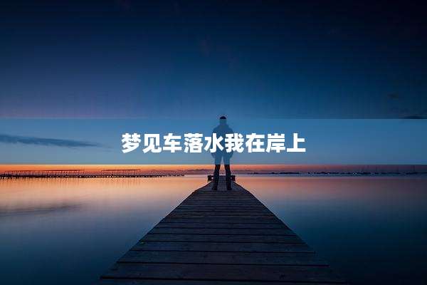 梦见车落水我在岸上