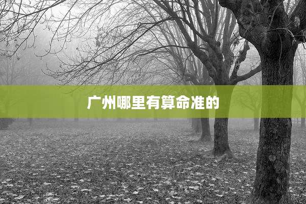 广州哪里有算命准的