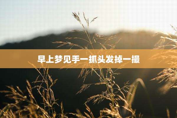 早上梦见手一抓头发掉一撮