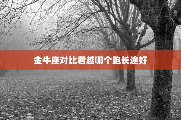 金牛座对比君越哪个跑长途好