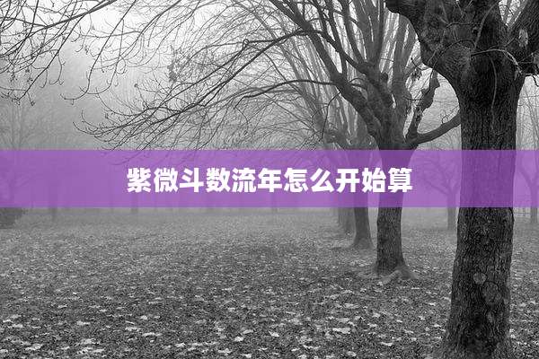 紫微斗数流年怎么开始算