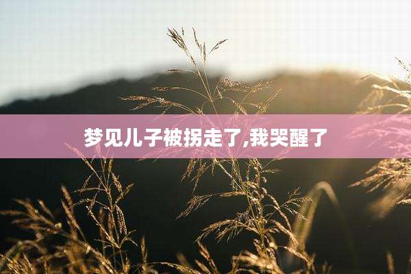梦见儿子被拐走了,我哭醒了