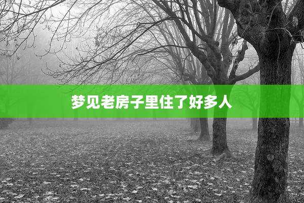 梦见老房子里住了好多人