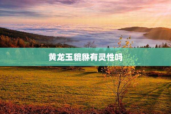 黄龙玉貔貅有灵性吗