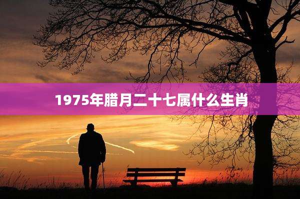 1975年腊月二十七属什么生肖