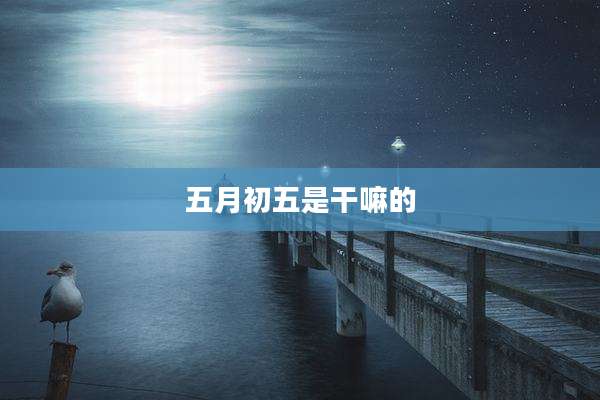五月初五是干嘛的