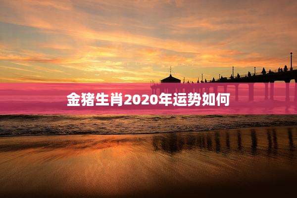 金猪生肖2020年运势如何