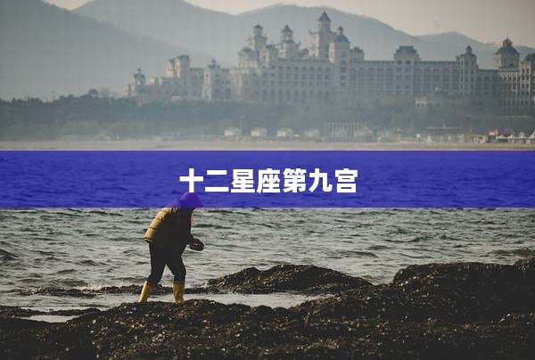 十二星座第九宫