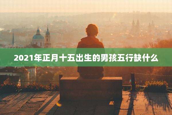 2021年正月十五出生的男孩五行缺什么