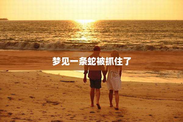 梦见一条蛇被抓住了