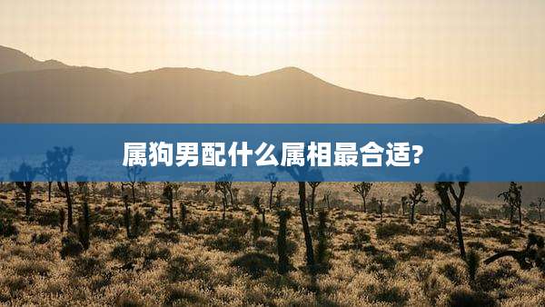 属狗男配什么属相最合适?