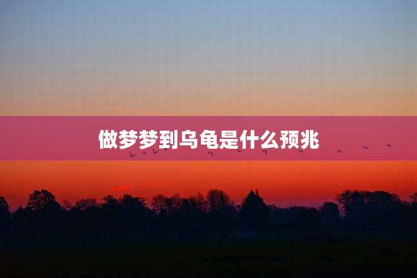 做梦梦到乌龟是什么预兆