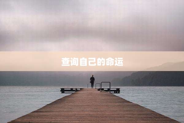 查询自己的命运