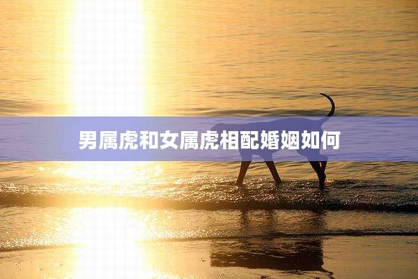 男属虎和女属虎相配婚姻如何