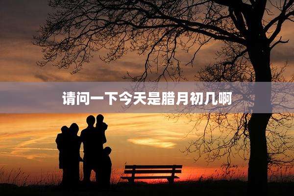 请问一下今天是腊月初几啊