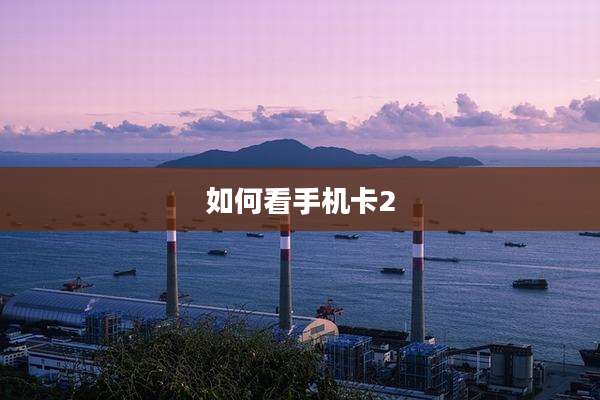 如何看手机卡2