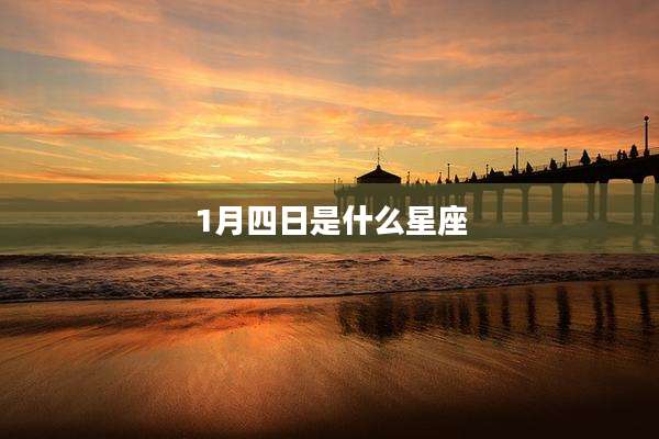 1月四日是什么星座