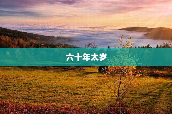 六十年太岁