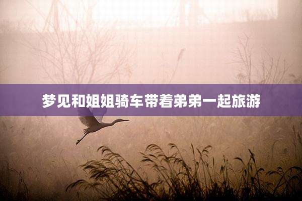 梦见和姐姐骑车带着弟弟一起旅游
