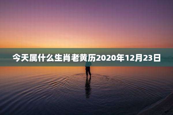 今天属什么生肖老黄历2020年12月23日