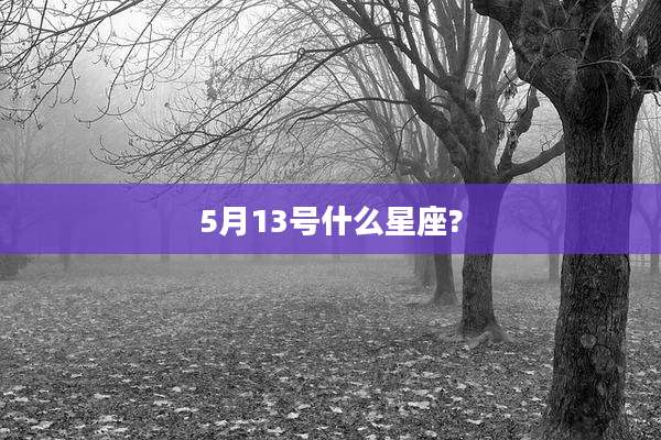 5月13号什么星座?