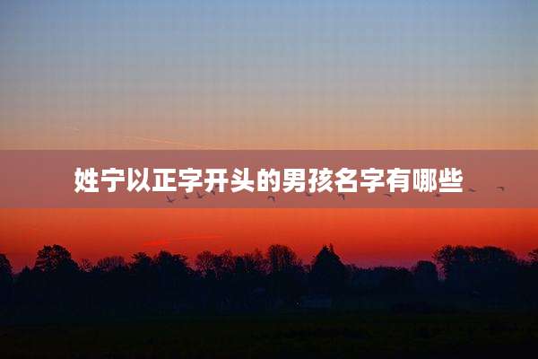 姓宁以正字开头的男孩名字有哪些