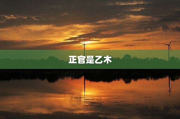 正官是乙木