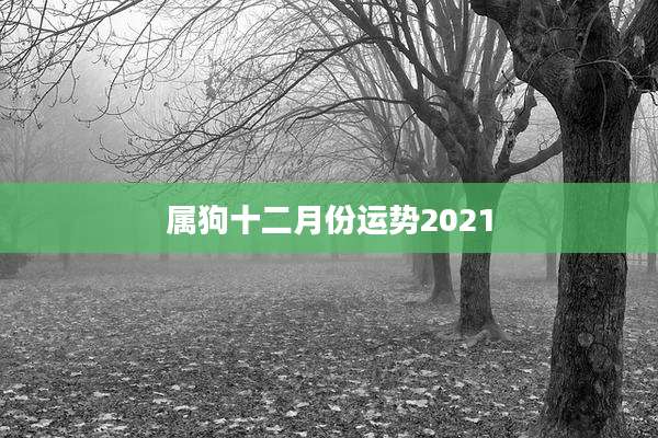 属狗十二月份运势2021