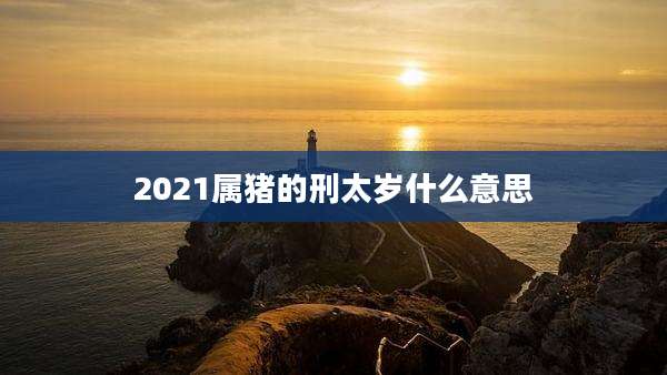 2021属猪的刑太岁什么意思