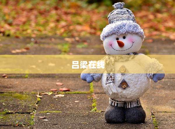 吕梁在线