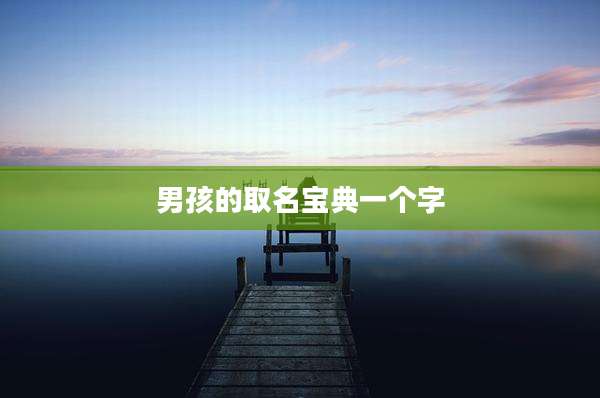 男孩的取名宝典一个字