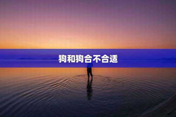狗和狗合不合适
