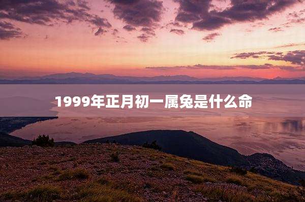 1999年正月初一属兔是什么命