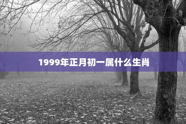 1999年正月初一属什么生肖
