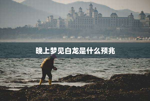 晚上梦见白龙是什么预兆