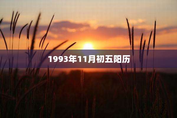 1993年11月初五阳历