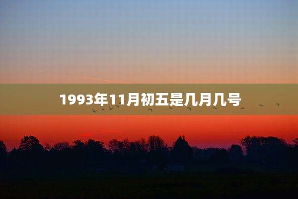 1993年11月初五是几月几号